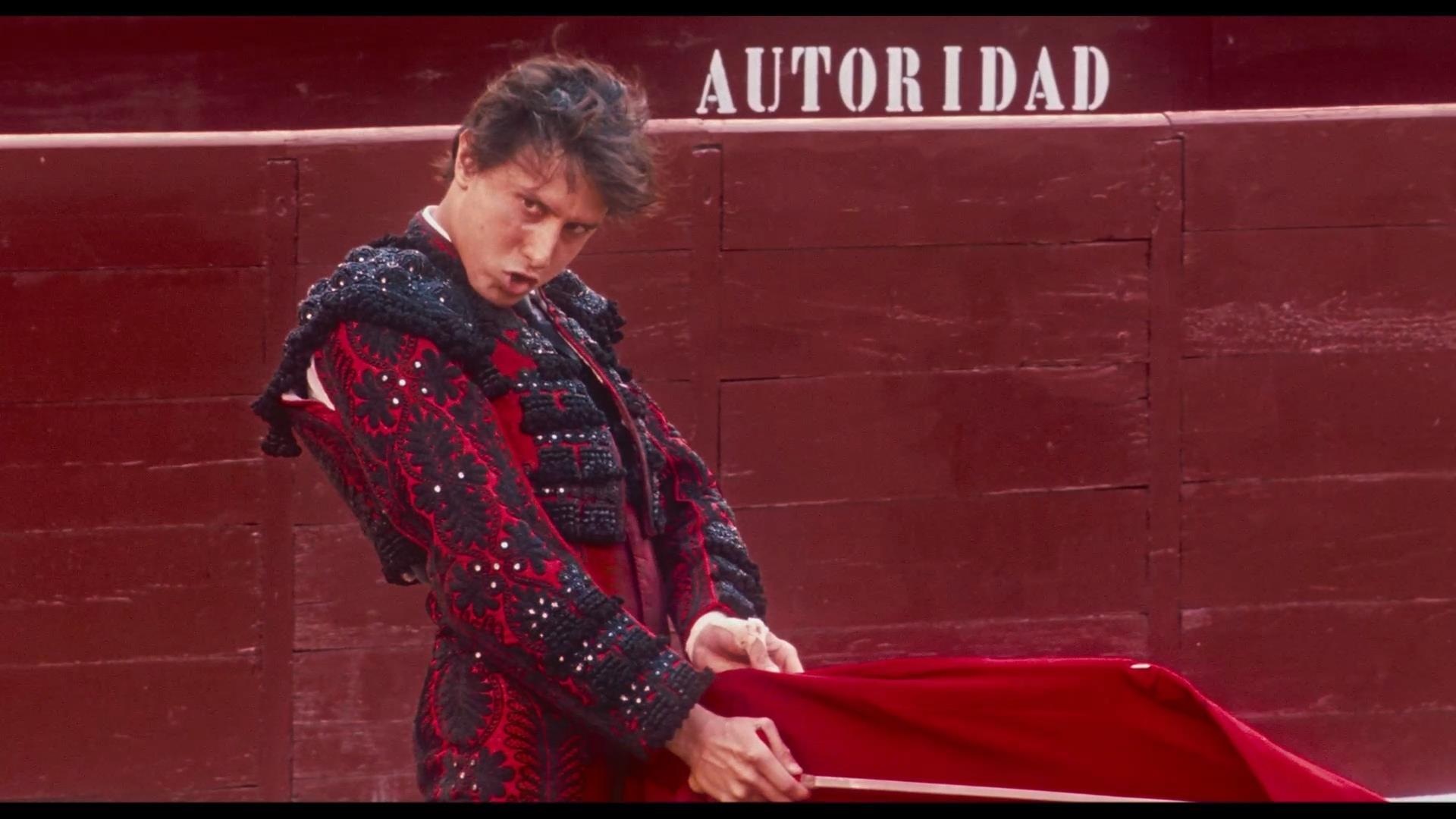 Afternoons of Solitude